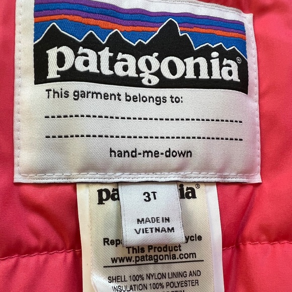 Patagonia Toddler winter Snow bibs.  Size 3T - Picture 2 of 5